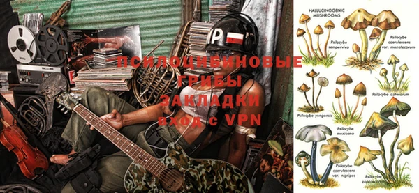 ALPHA-PVP Зеленокумск