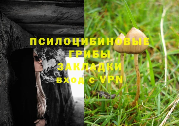 соль курить ск Зеленодольск