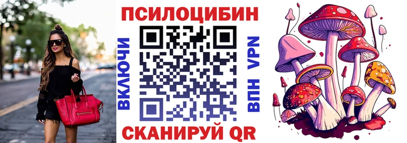 Купить закладки  Западная Двина  Галлюциногенные грибы мицелий 