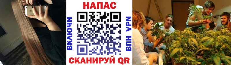 МАРИХУАНА план  Купить  Западная Двина 